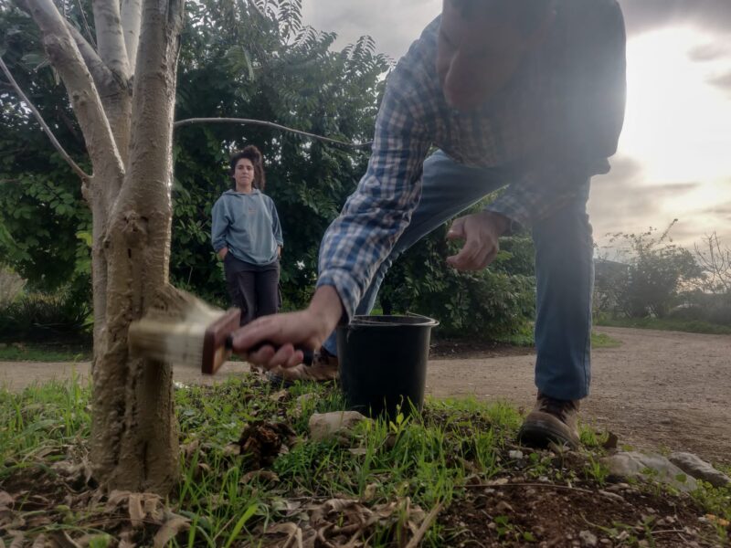 Magic Garden - משחת עצים ביודינמית  750 מ"ל