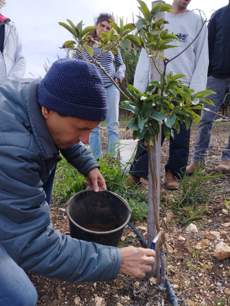 Magic Garden - משחת עצים ביודינמית  750 מ"ל