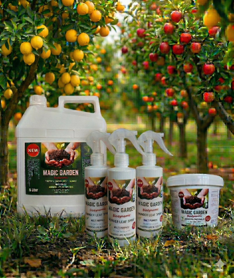 Gemini_Generated_Image_d11jemd11jemd11j Magic Garden - ערכת טיפוח לעצים